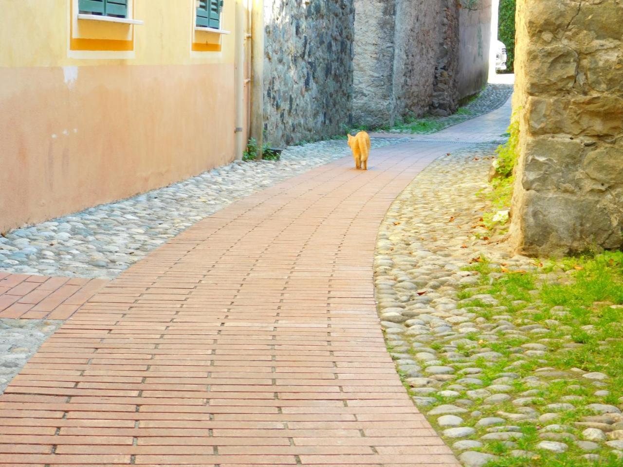 Bellissima Casa Nel Centro Storico!!! Apartment เลวานโต ภายนอก รูปภาพ
